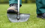 Lawn-care-tips-graphical-button..jpg